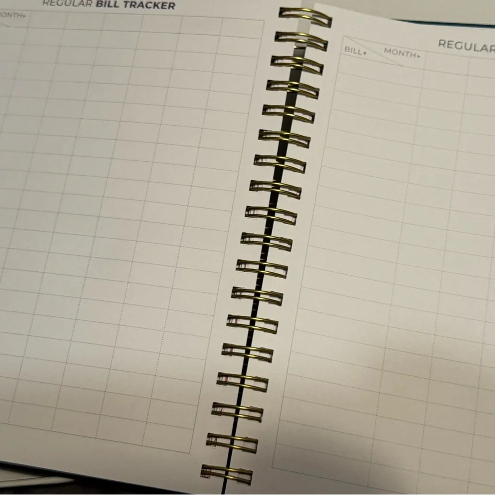 Clever Fox Budget Planner & Monthly Bill Organizer Expense Tracker Teal Green